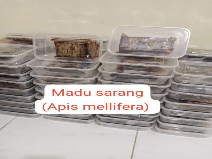 Gambar produk Sarang Madu/honey Com