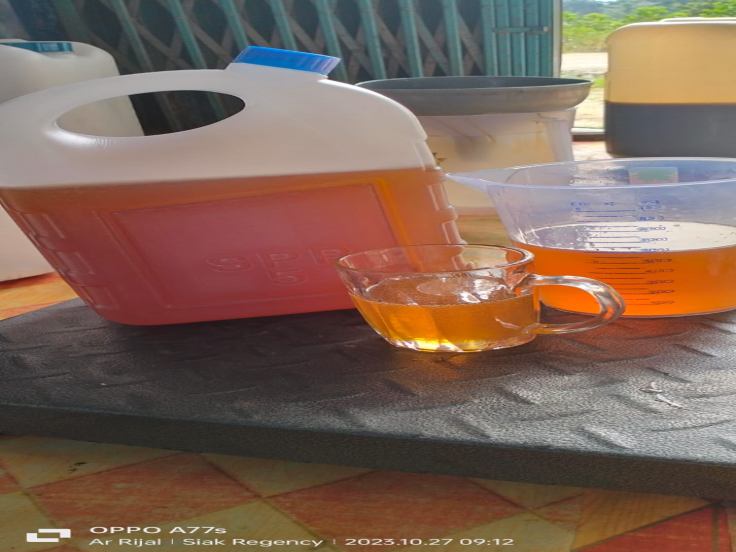 Gambar produk Madu Mangium